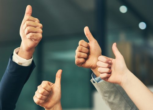 Momentum Apresiasi Karyawan: Ide Paket Wisata Perusahaan dan Team Building Menarik untuk Liburan Akhir Tahun